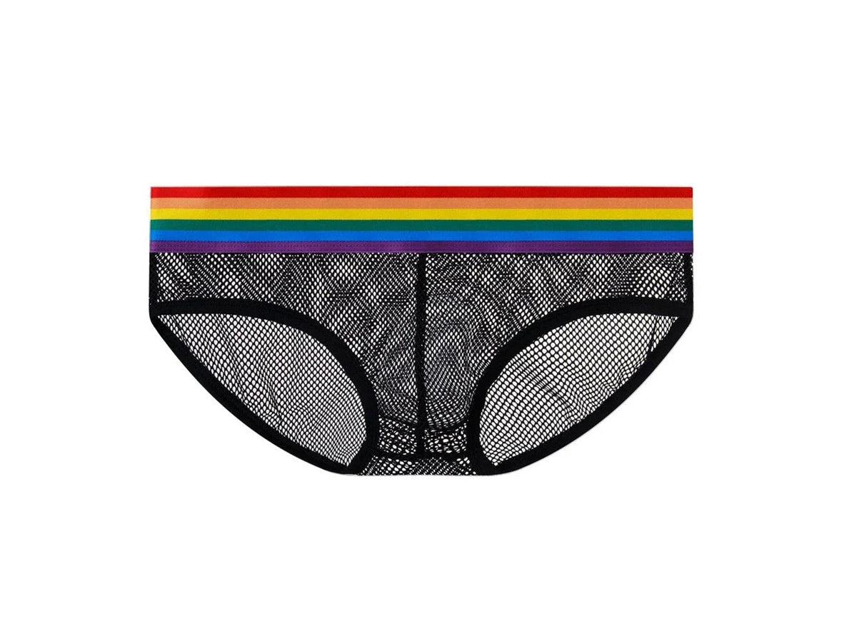 Gay Briefs | Pride Mesh See Through Sexy Briefs
