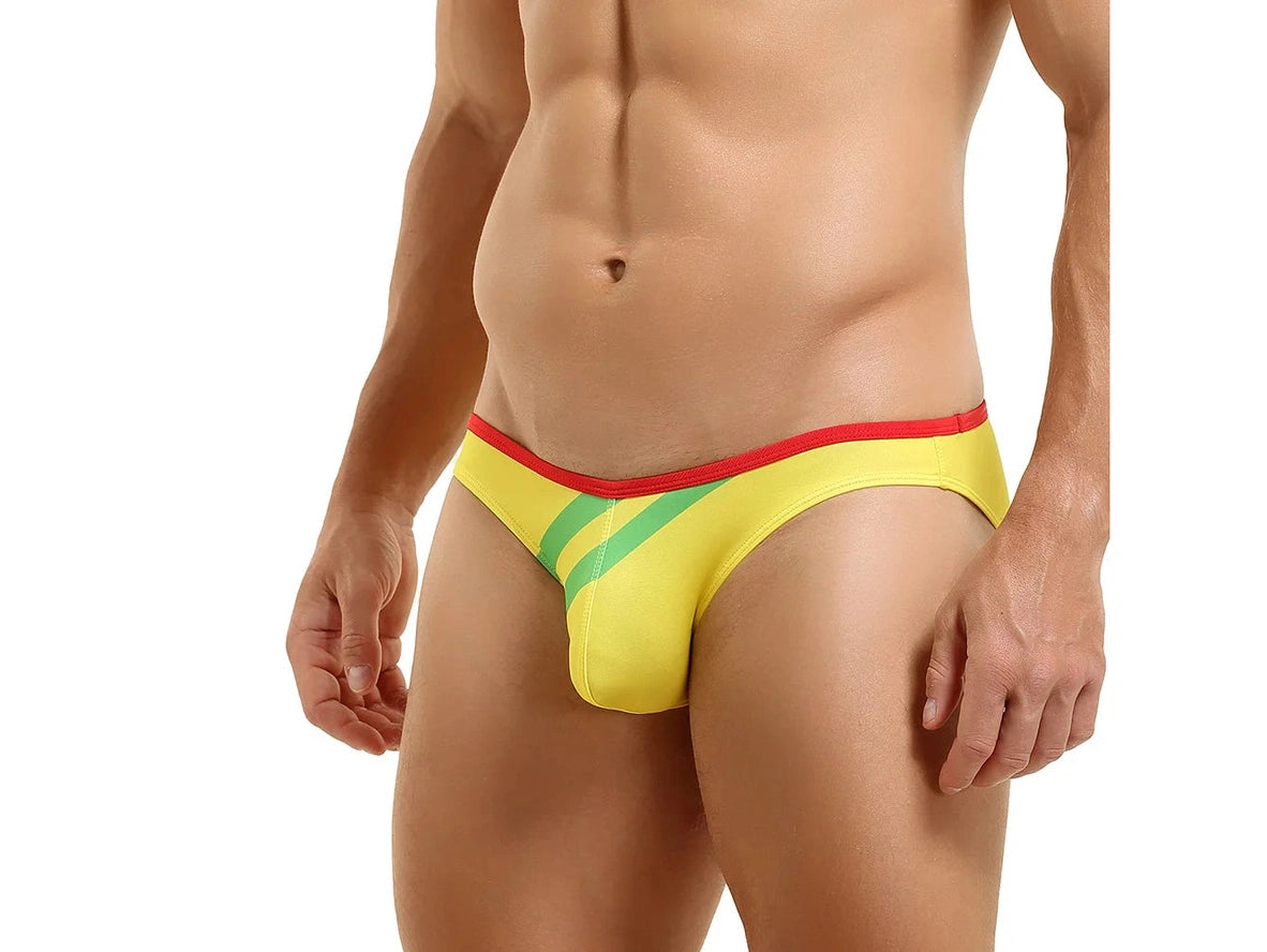 Gay Briefs | SEOBEAN Dashing Stripe Briefs