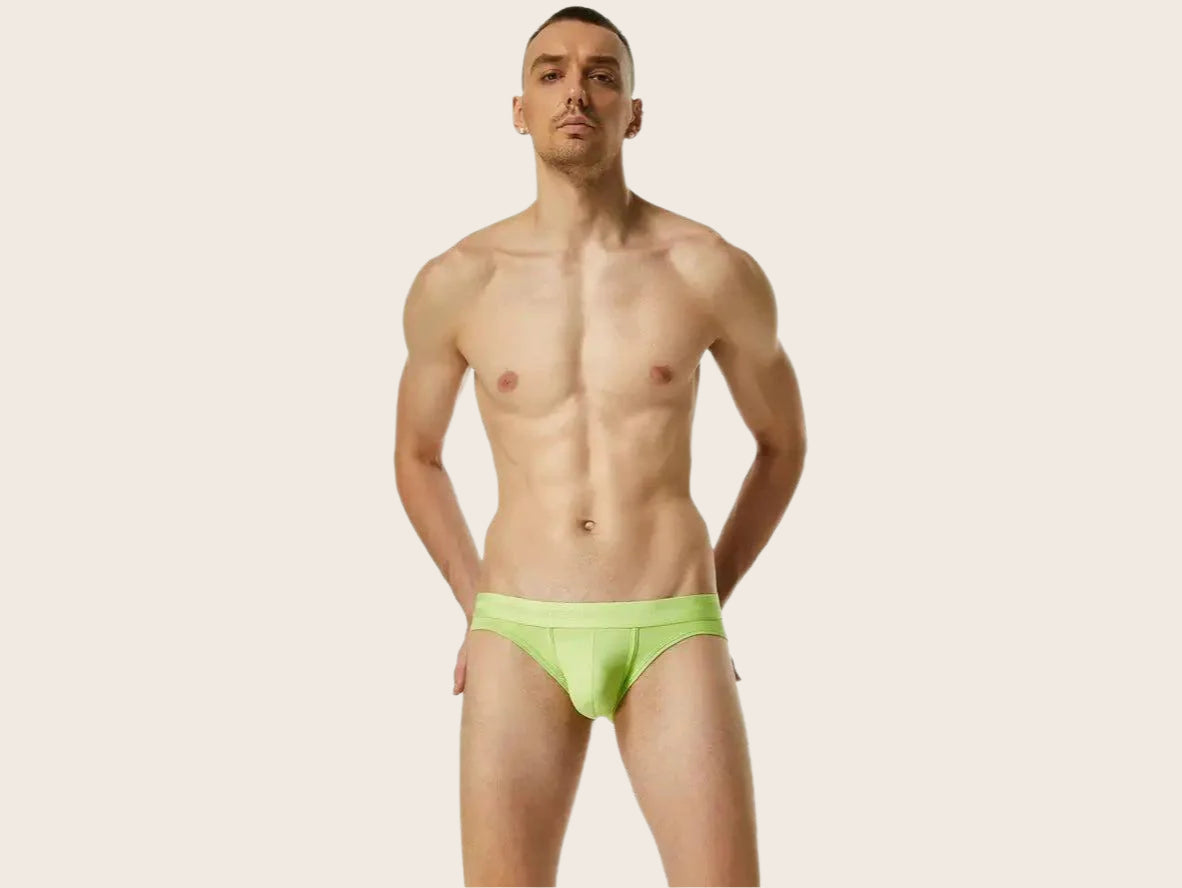 Gay Briefs | SEOBEAN Pure Color Sexy Briefs