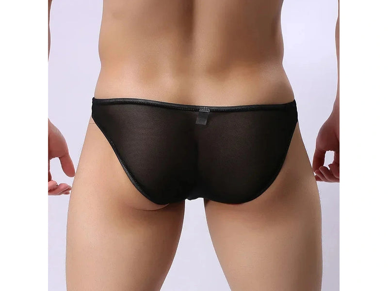 Gay Briefs | Sexy Bulge Pouch Transparent Brief