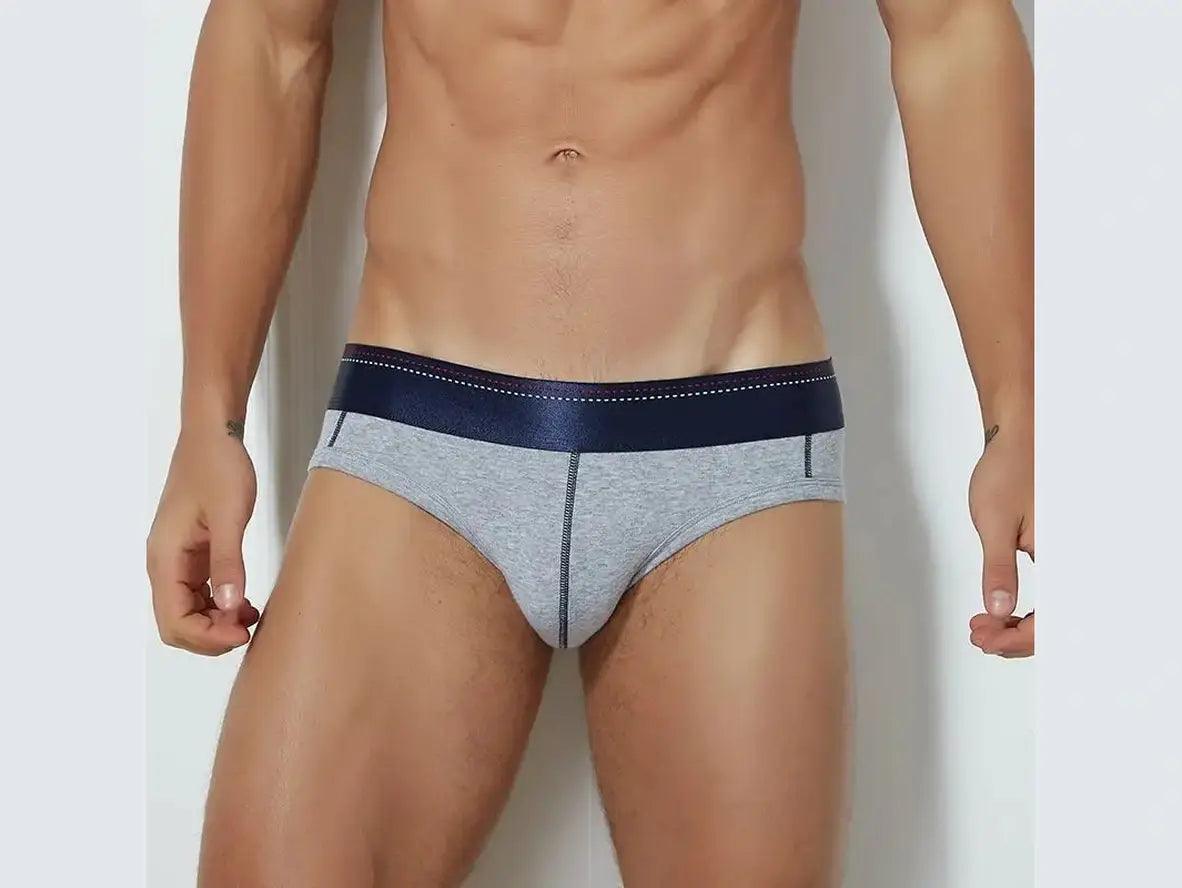 Gay Briefs | Sexy Cotton Briefs