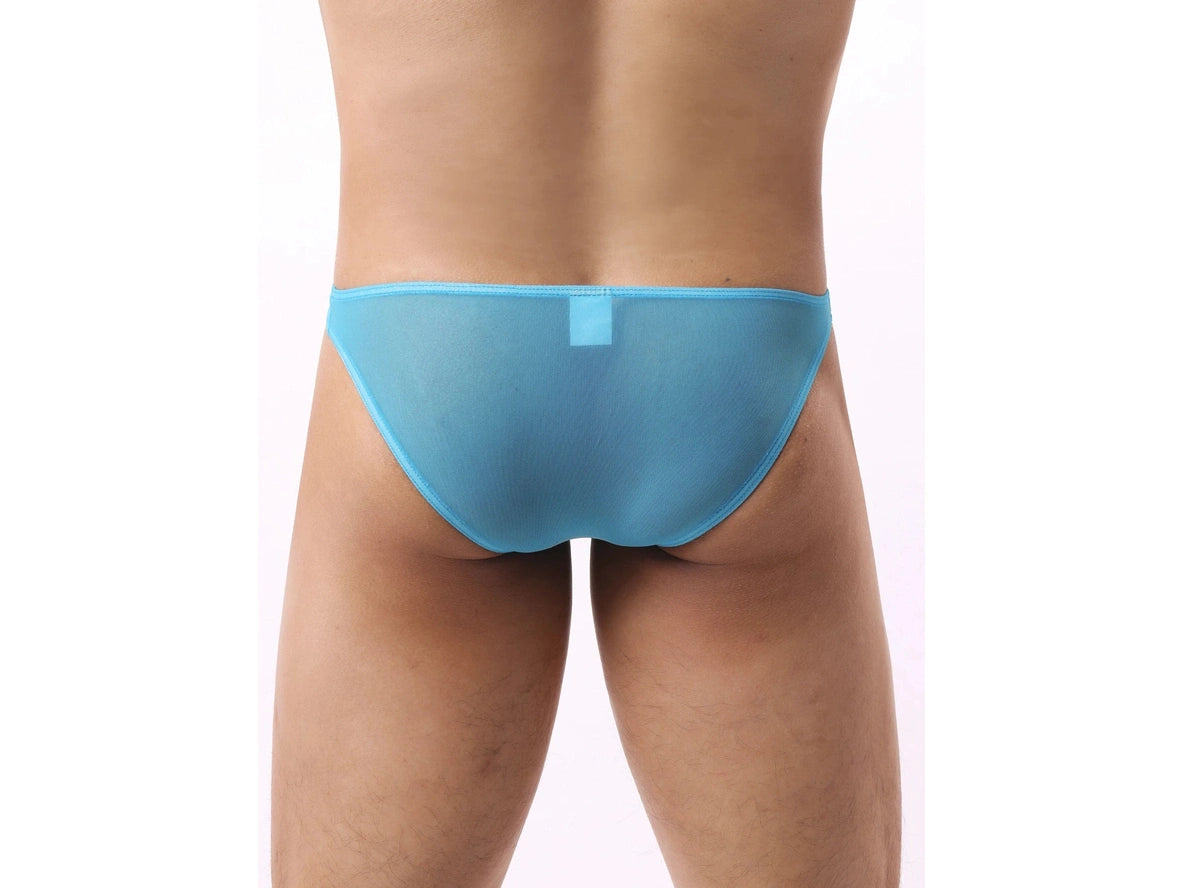 Gay Briefs | Sexy Mesh Transparent Briefs