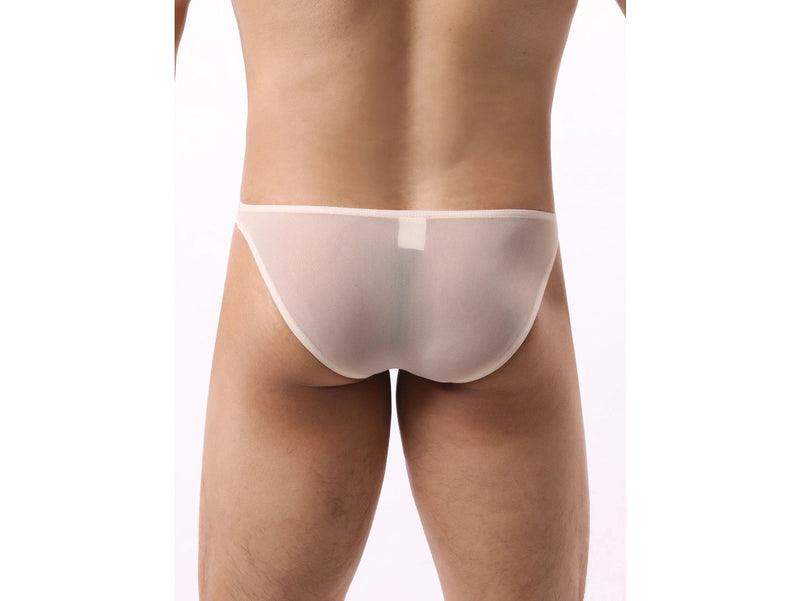 Gay Briefs | Sexy Mesh Transparent Briefs