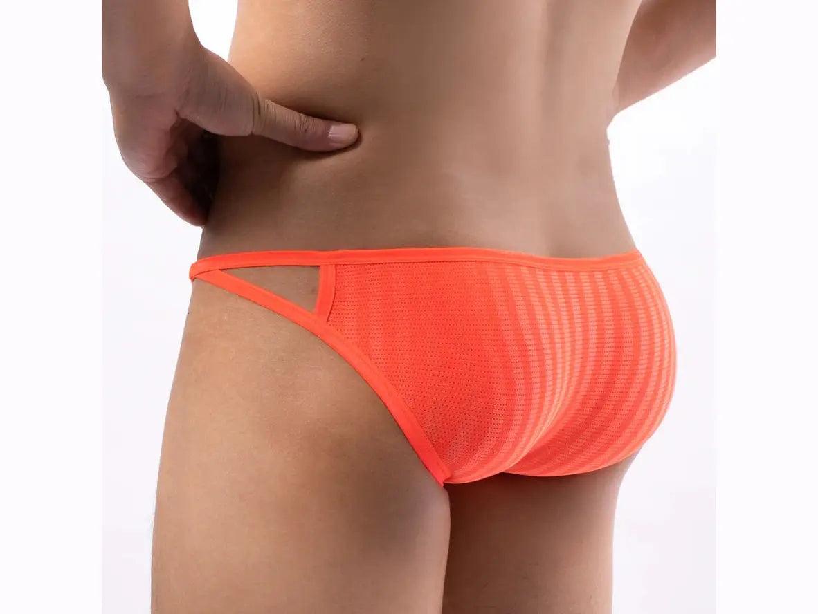 Gay Briefs | Sexy Mini Mesh Underwear Briefs