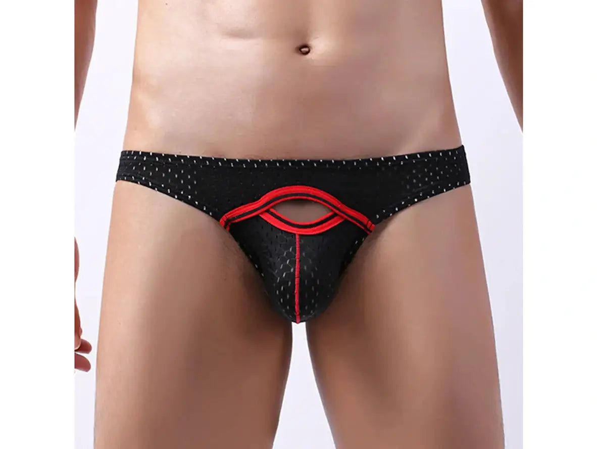 Gay Briefs | Sexy Pouch Mesh Briefs