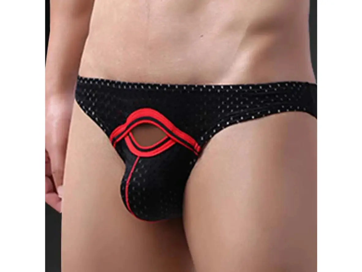 Gay Briefs | Sexy Pouch Mesh Briefs