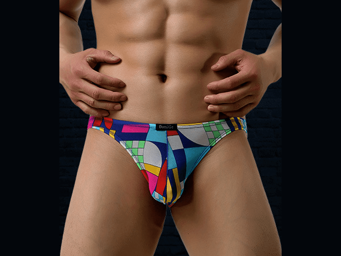 Gay Briefs | Sexy Printed Mesh Briefs