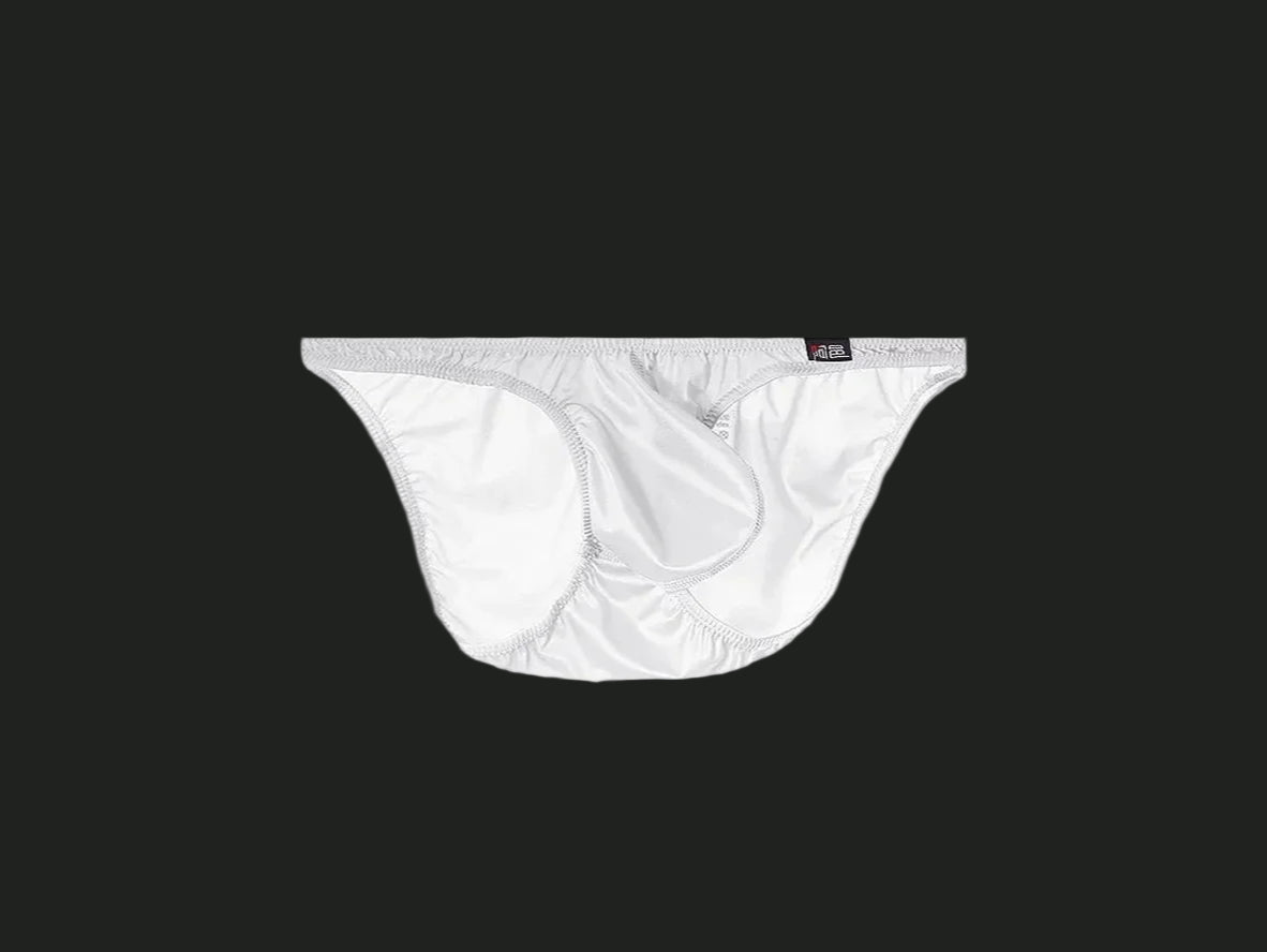 Gay Briefs | Shiny Party Briefs