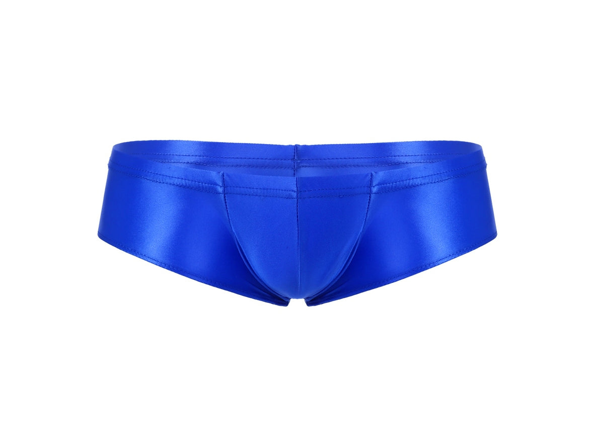 Gay Briefs | Stretchy Shiny Briefs