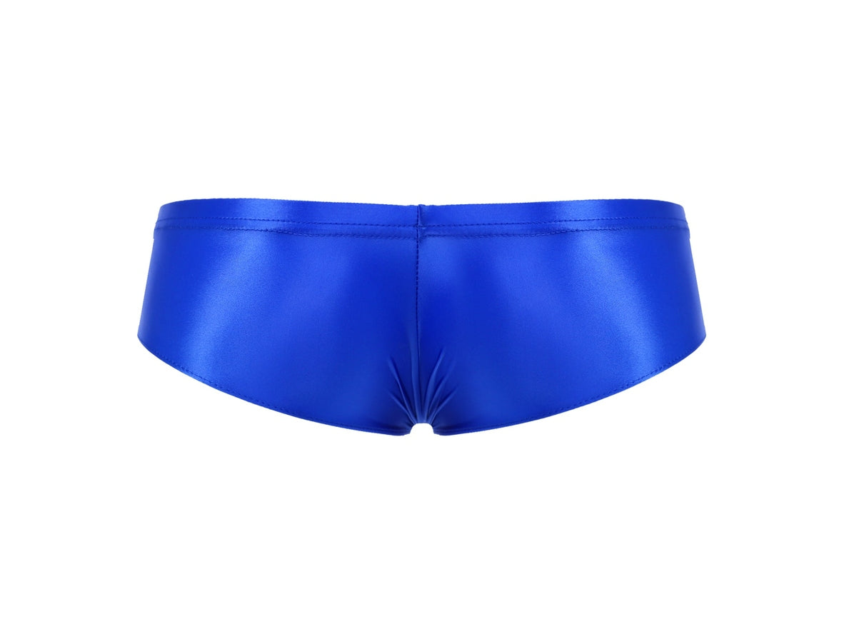 Gay Briefs | Stretchy Shiny Briefs