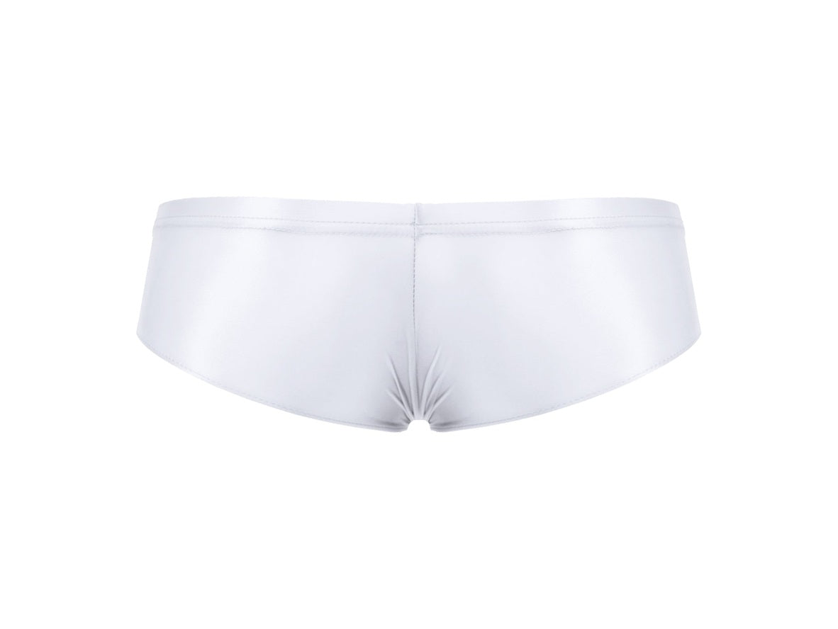 Gay Briefs | Stretchy Shiny Briefs