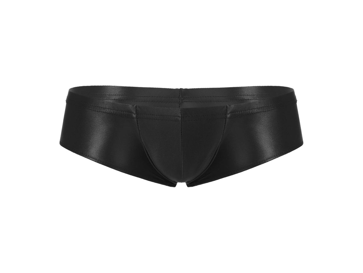 Gay Briefs | Stretchy Shiny Briefs