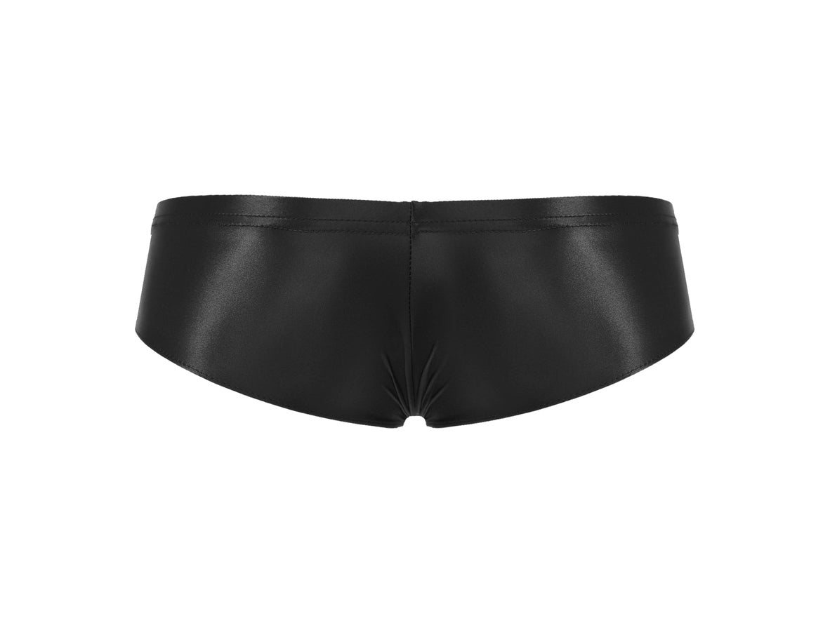 Gay Briefs | Stretchy Shiny Briefs