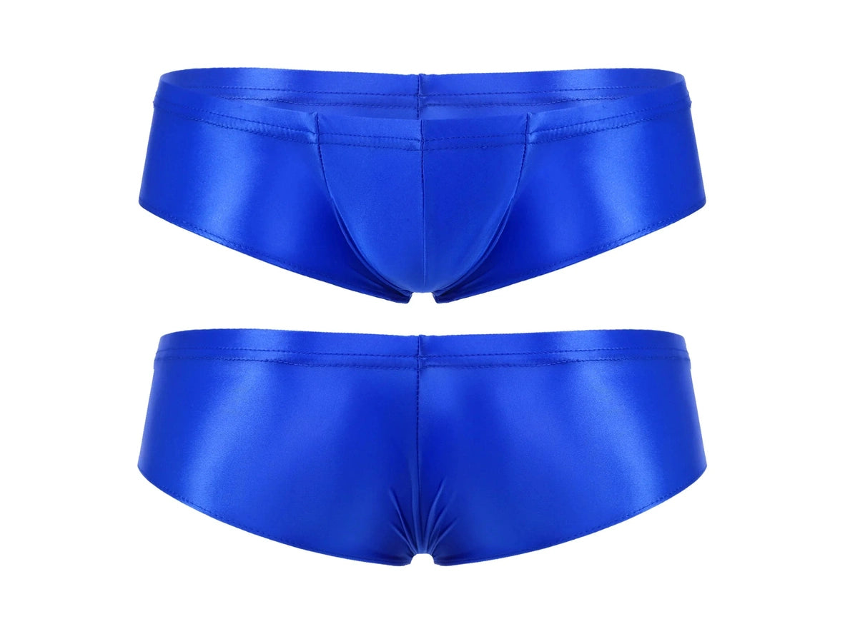 Gay Briefs | Stretchy Shiny Briefs