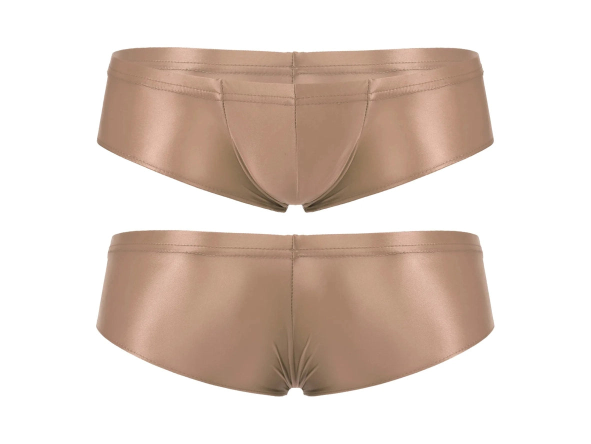 Gay Briefs | Stretchy Shiny Briefs