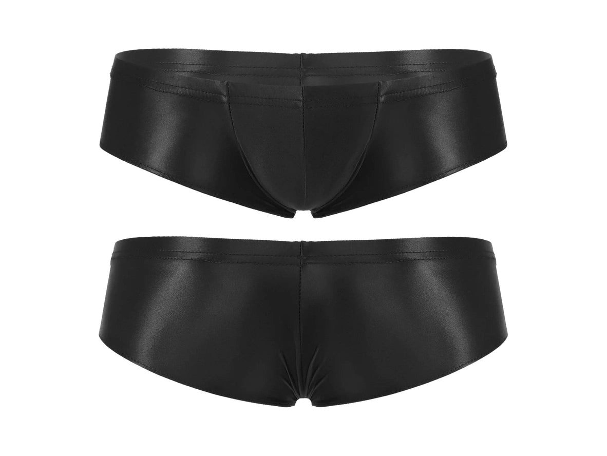 Gay Briefs | Stretchy Shiny Briefs