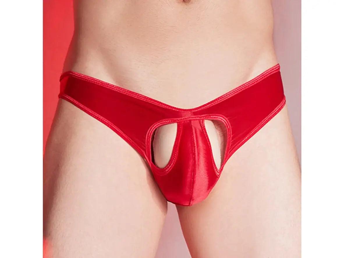 Gay Briefs | Ultra-Thin Stretchy Hollow Front Shiny Briefs