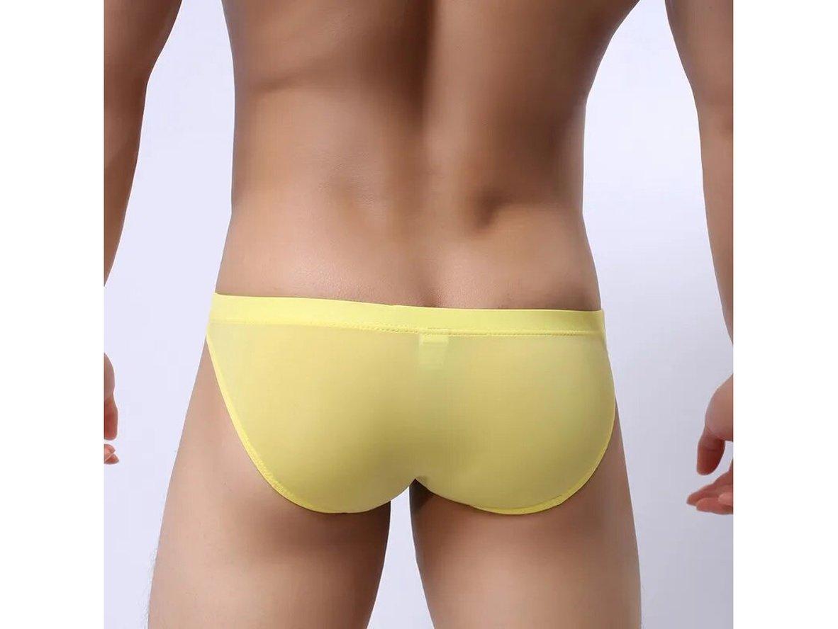Gay Briefs | Ultra-Thin Transparent Ice Silk Underwear Briefs