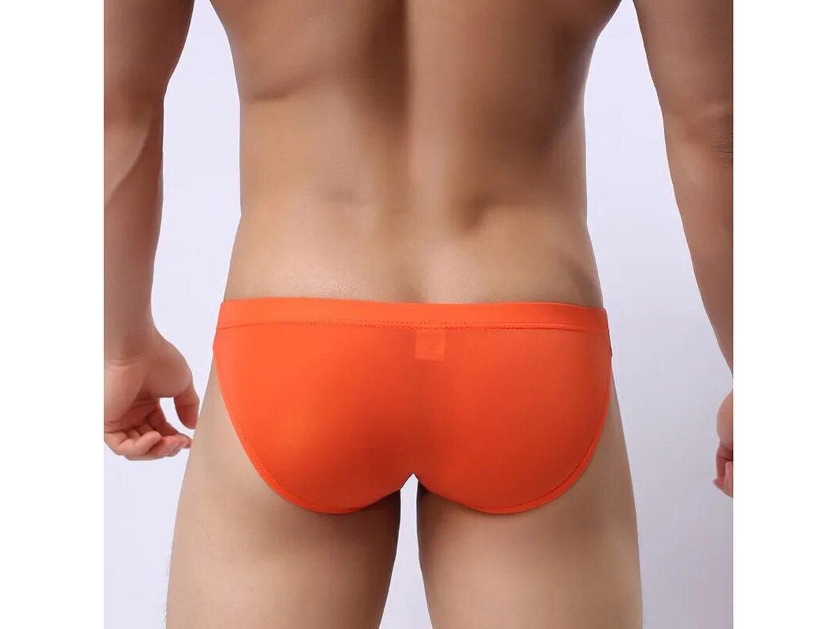 Gay Briefs | Ultra-Thin Transparent Ice Silk Underwear Briefs