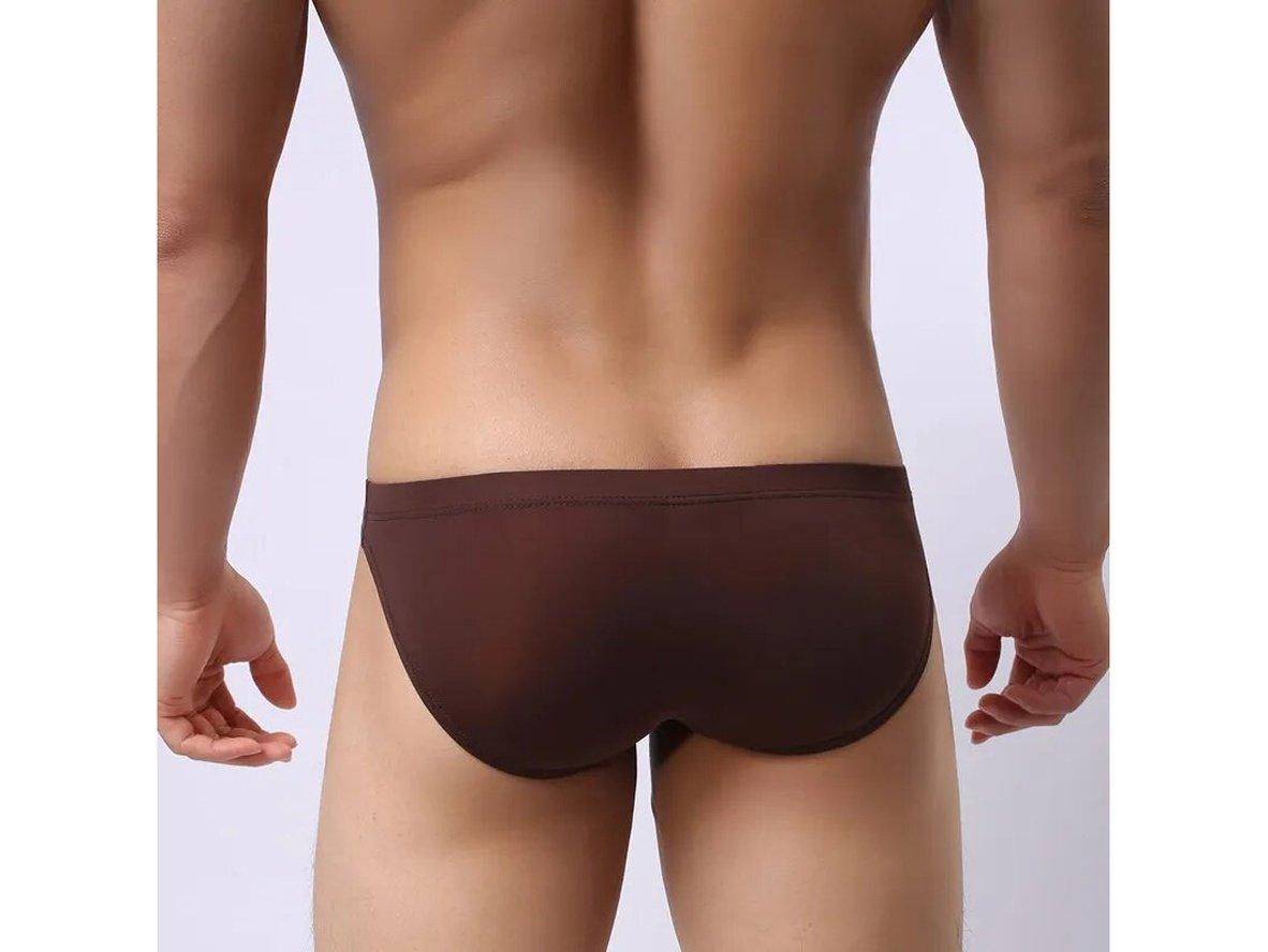 Gay Briefs | Ultra-Thin Transparent Ice Silk Underwear Briefs