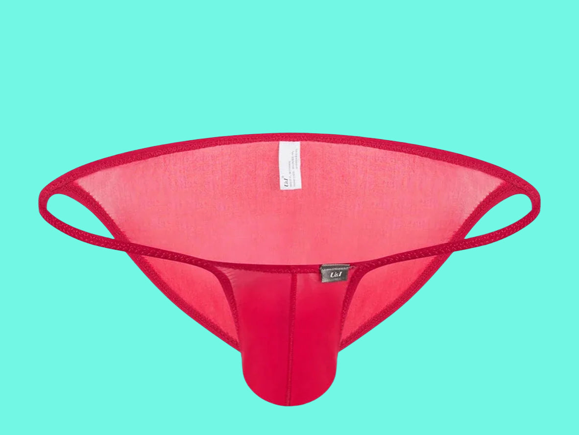 Gay Briefs | Ultra-Thin Transparent Lover Briefs