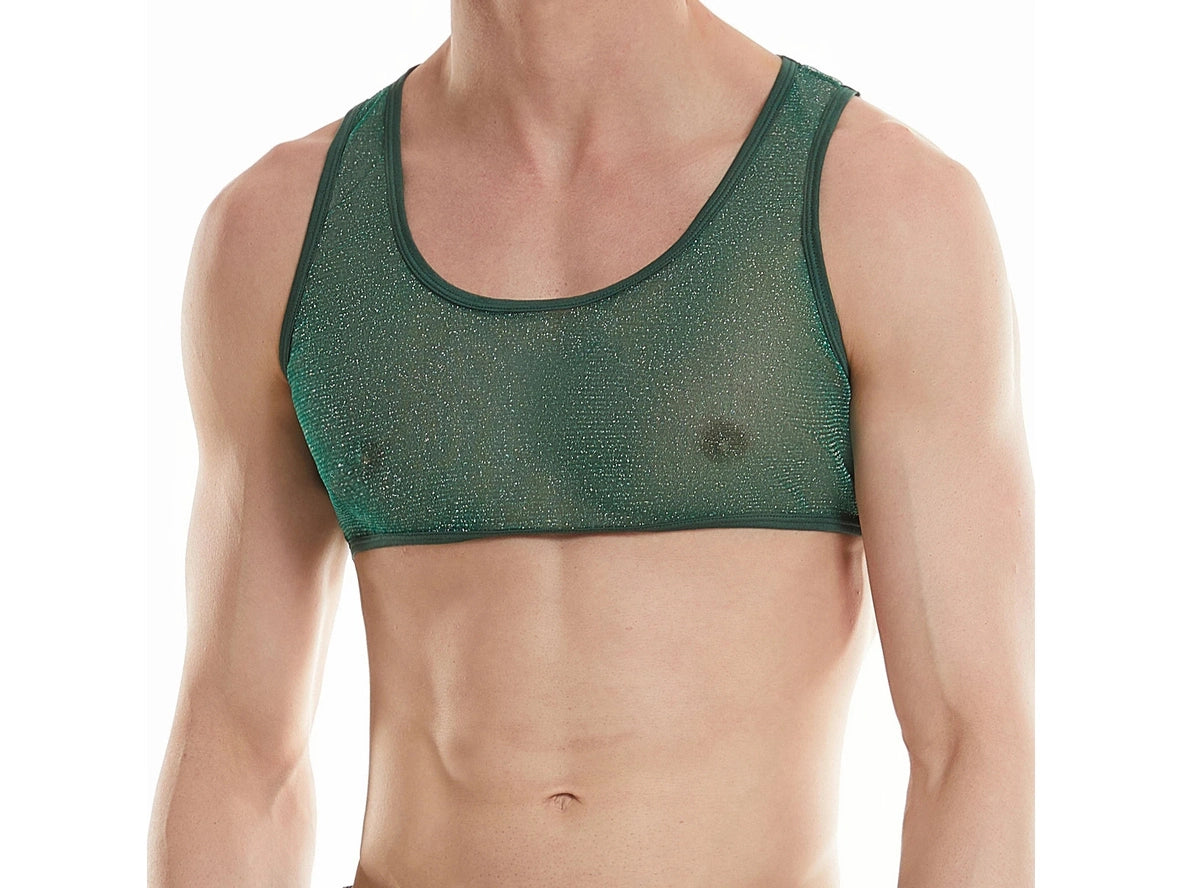 Gay Crop Tops | Shiny See Through Mesh Crop Top