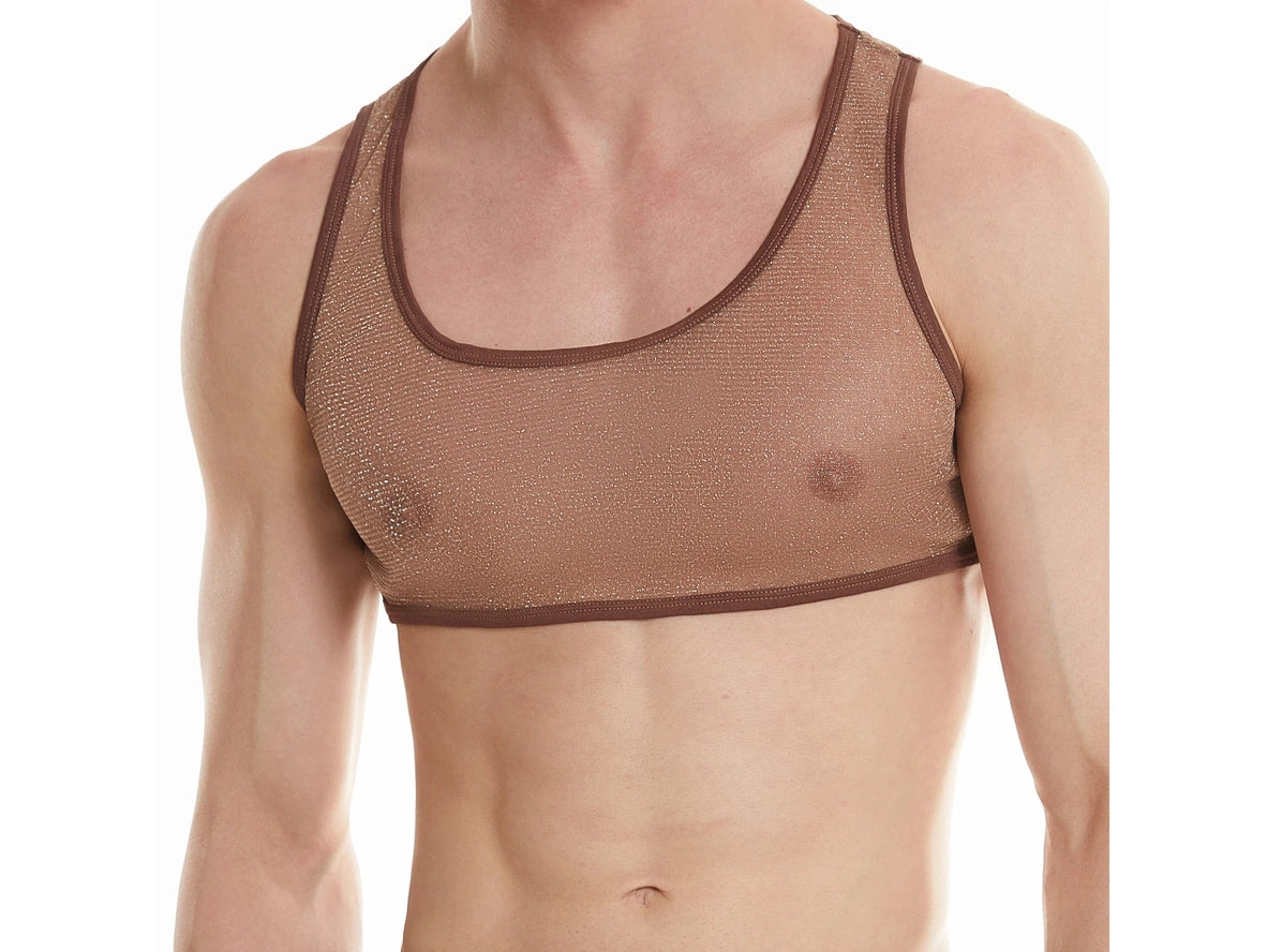 Gay Crop Tops | Shiny See Through Mesh Crop Top
