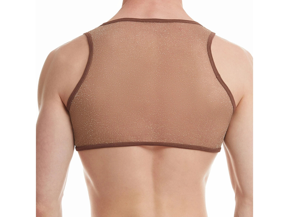 Gay Crop Tops | Shiny See Through Mesh Crop Top