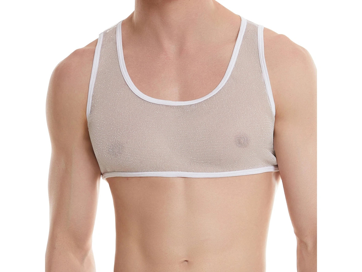 Gay Crop Tops | Shiny See Through Mesh Crop Top