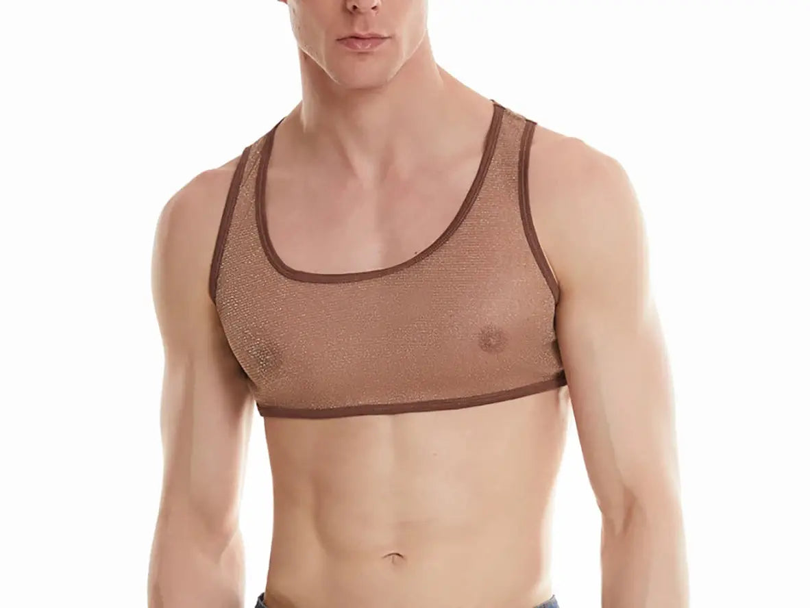 Gay Crop Tops | Shiny See Through Mesh Crop Top