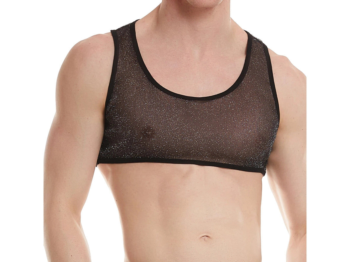 Gay Crop Tops | Shiny See Through Mesh Crop Top