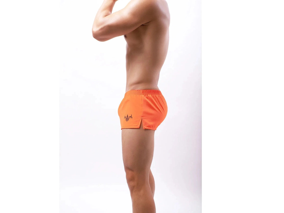 Gay Gym Shorts | Tight Lifting Short Shorts