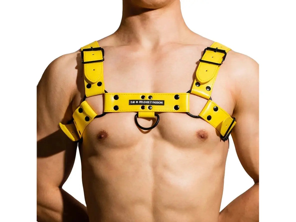 Gay Harness | D.M Sexy Pullover Harness