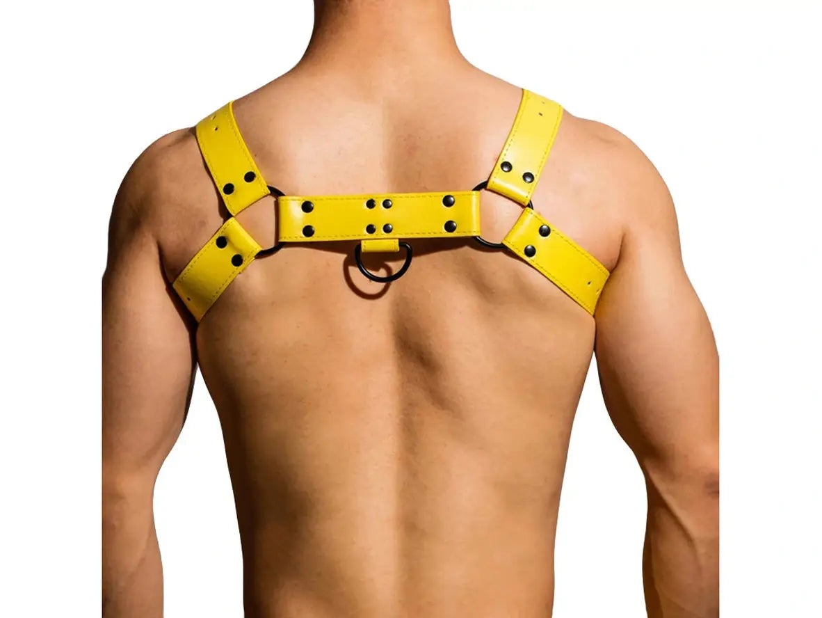 Gay Harness | D.M Sexy Pullover Harness