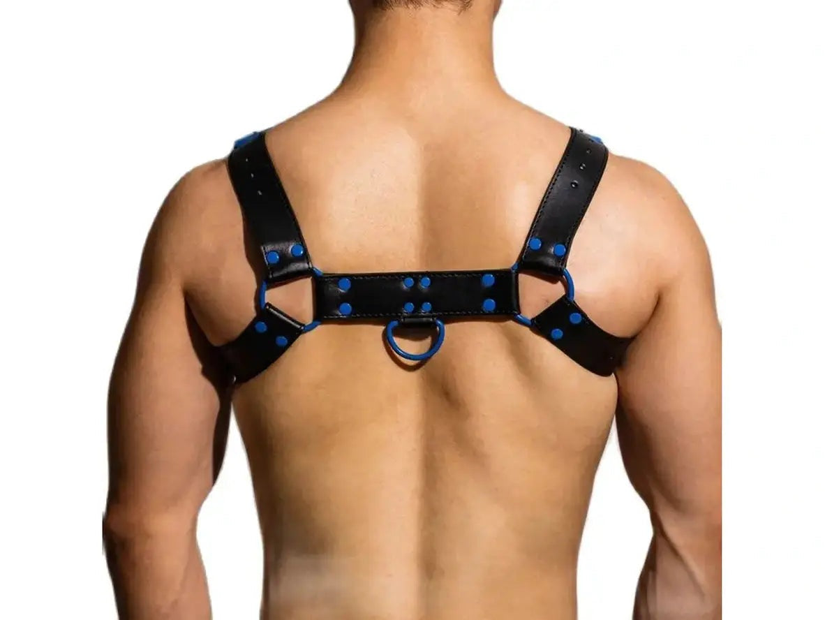 Gay Harness | D.M Sexy Pullover Harness