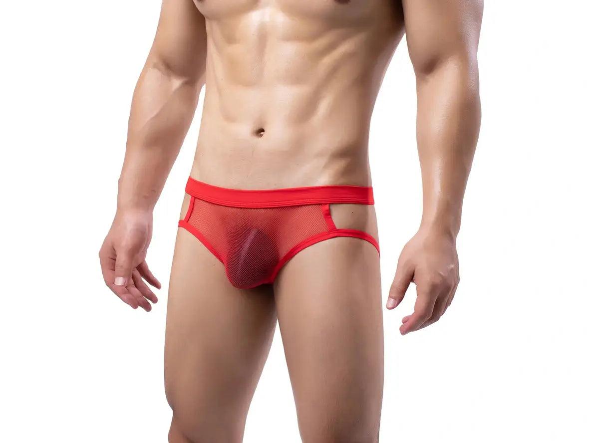 Gay Jock Briefs | Transparent Mesh Jock Briefs