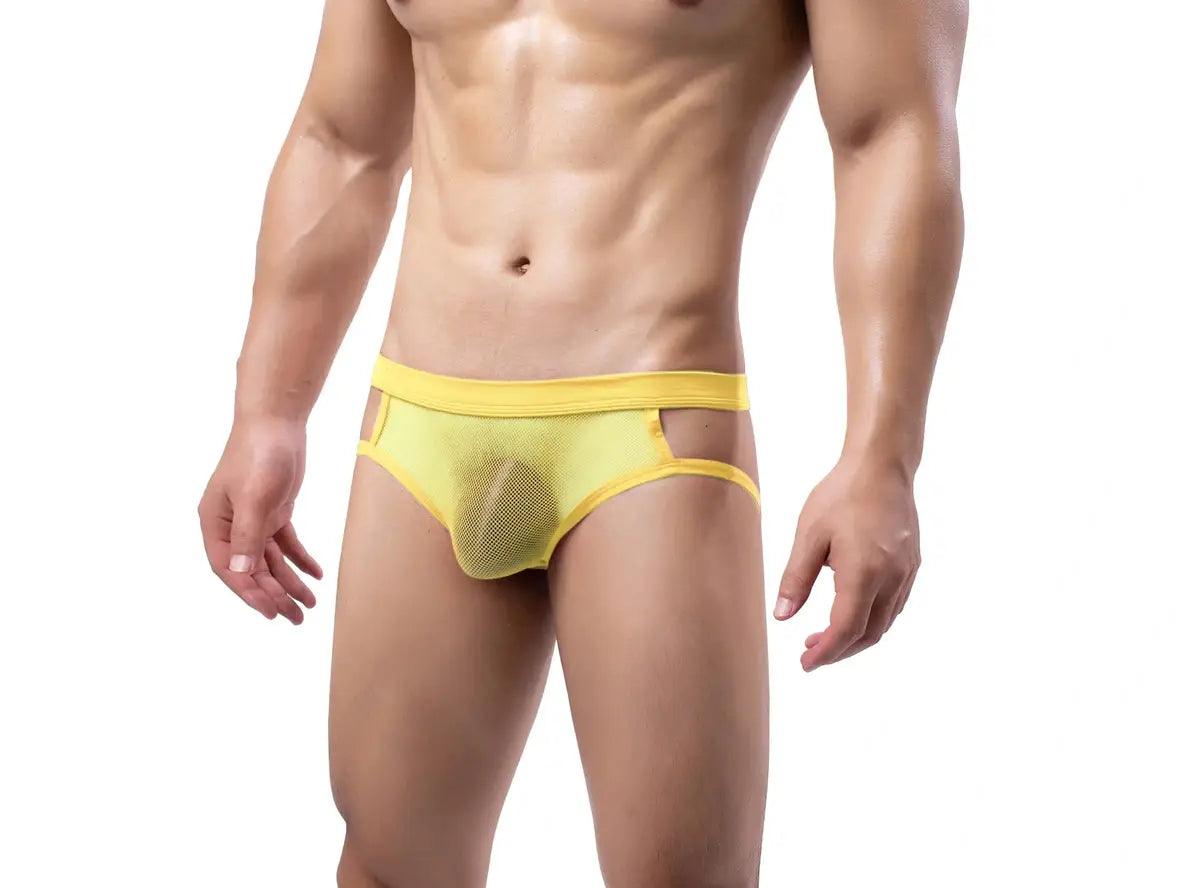 Gay Jock Briefs | Transparent Mesh Jock Briefs