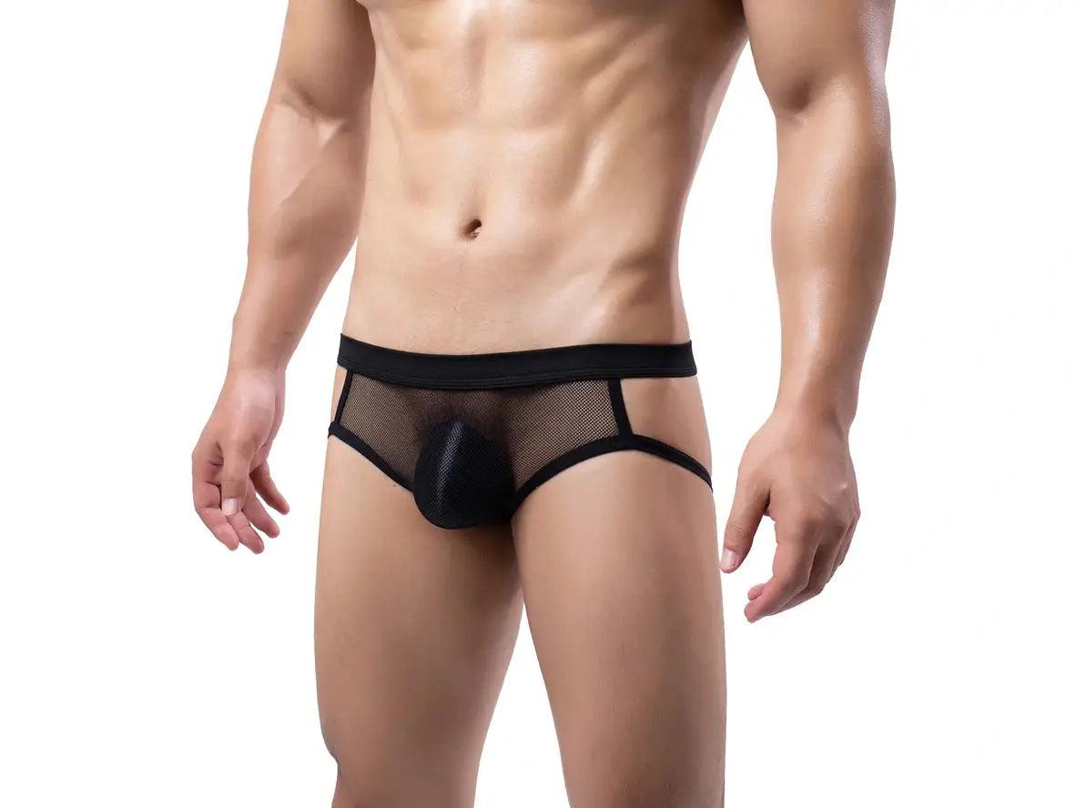 Gay Jock Briefs | Transparent Mesh Jock Briefs