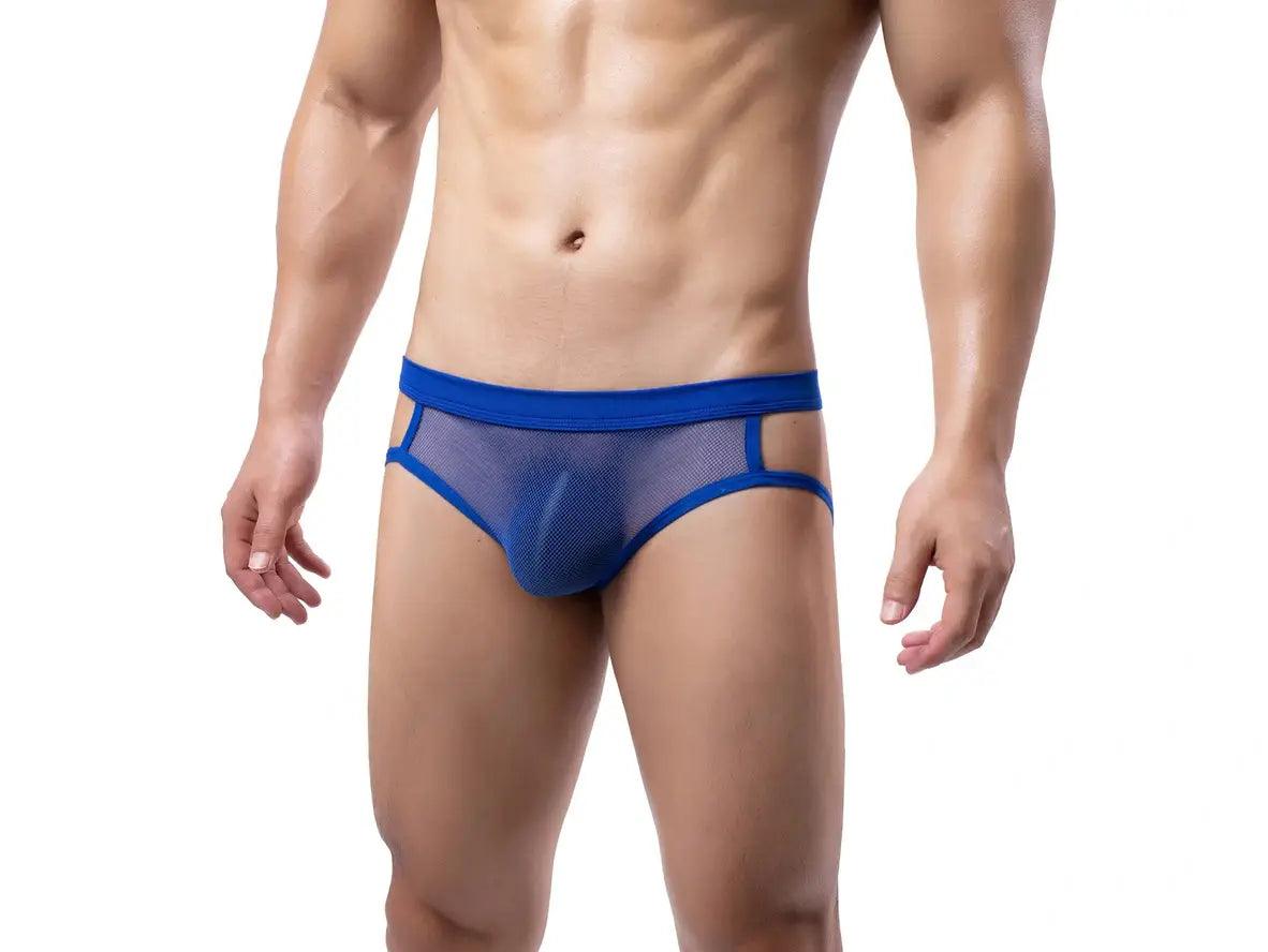 Gay Jock Briefs | Transparent Mesh Jock Briefs