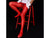 Gay Pantyhose | Glossy Red Transparent Bodystockings