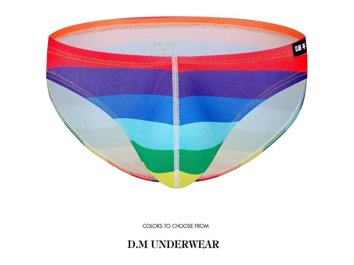 Gay Swim Briefs | D.M Swimwear Rainbow Color Swim Briefs