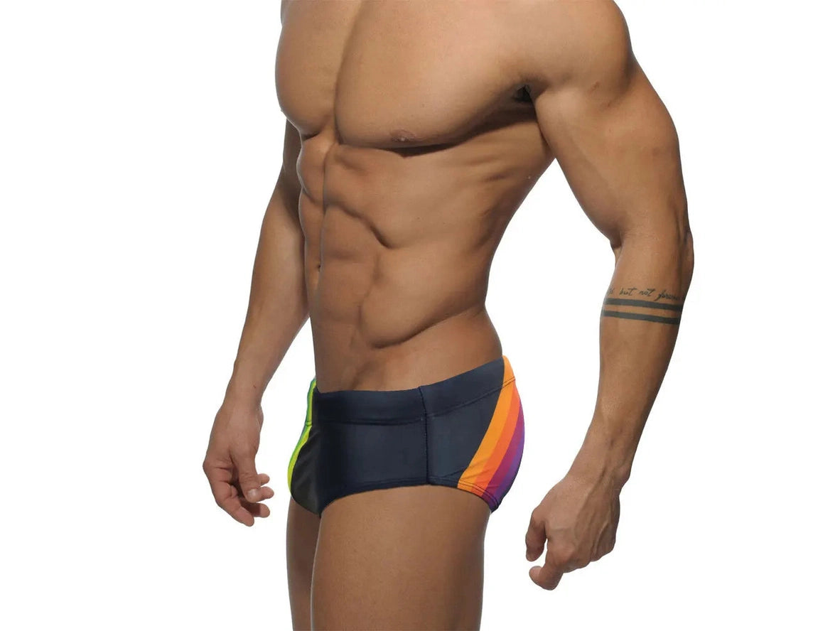 Gay Swim Briefs | Rainbow Pride Swim Briefs
