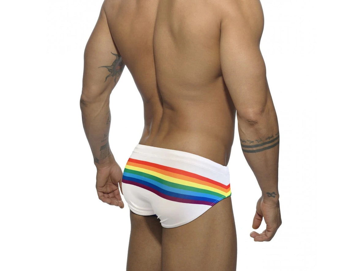 Gay Swim Briefs | Rainbow Striped Swim Briefs