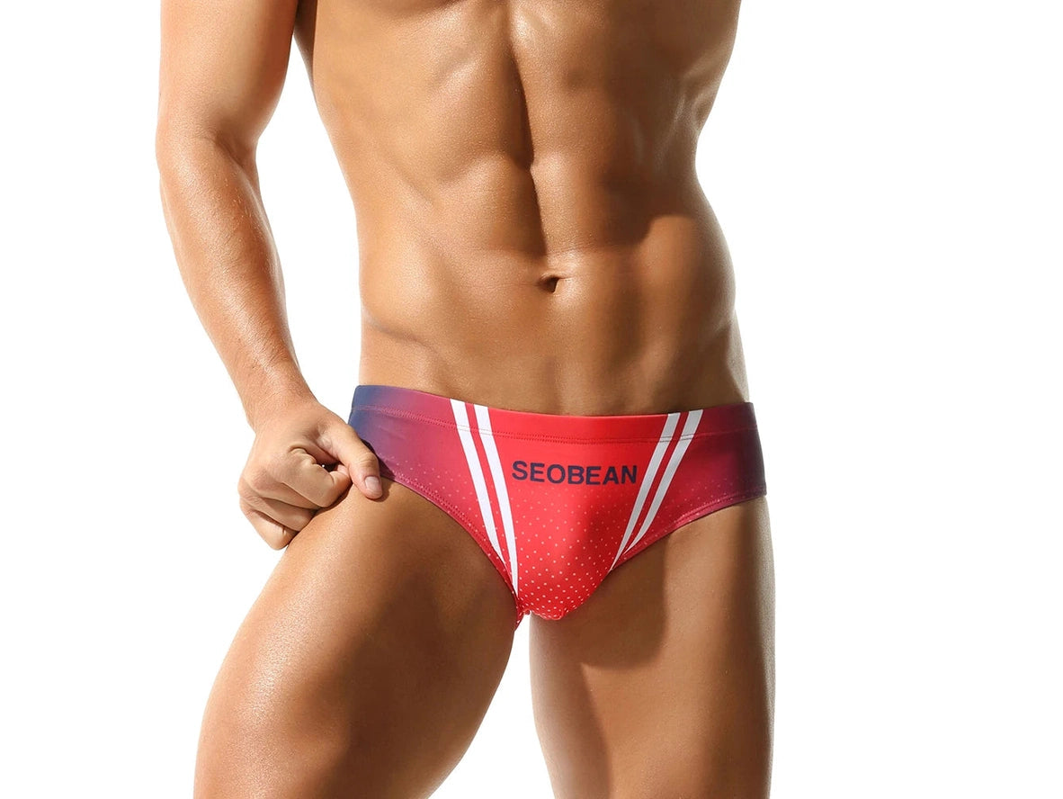 Gay Swim Briefs | SEOBEAN Gradient Swim Briefs