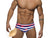 Gay Swim Briefs | Sexy Flamingo Push Up Pad Swim Briefs