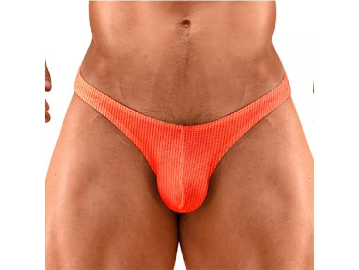 Gay Swim Briefs | Sexy Mesh Translucent Swim Briefs