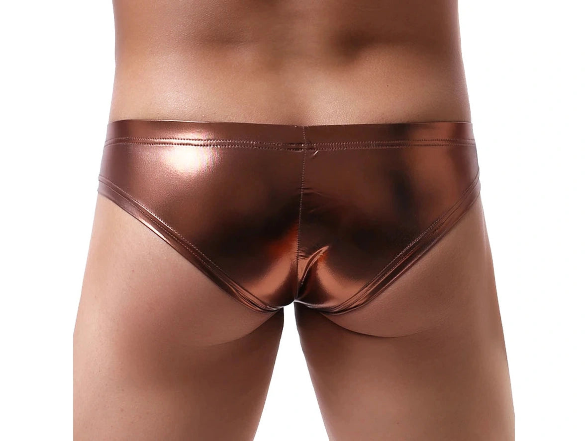 Gay Swim Briefs | Shiny Cheeky Swim Briefs