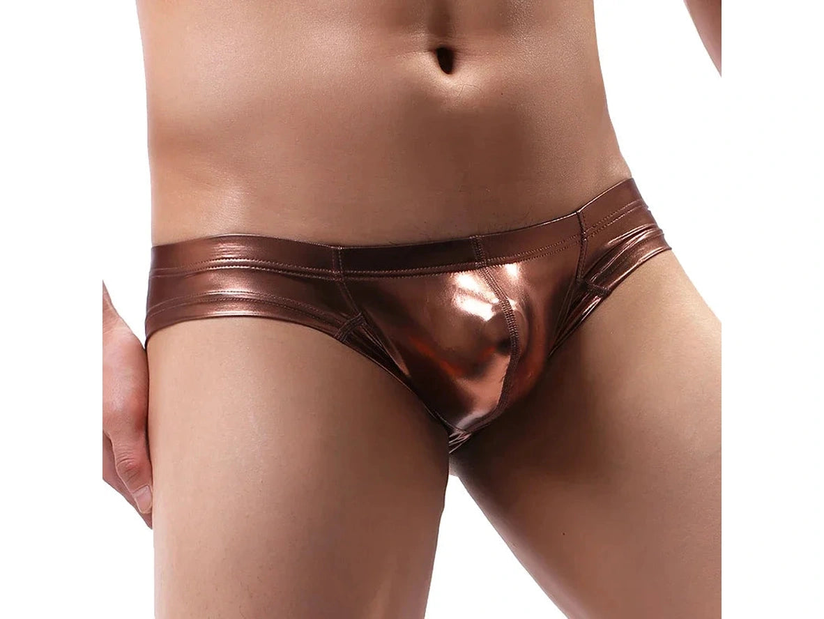 Gay Swim Briefs | Shiny Cheeky Swim Briefs