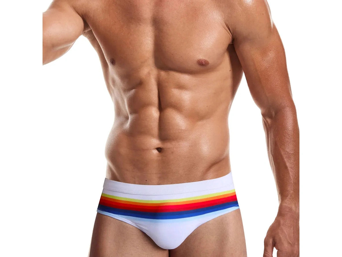 Gay Swim Briefs | UXH Bold Stripe Swim Briefs