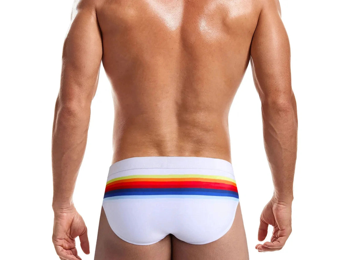 Gay Swim Briefs | UXH Bold Stripe Swim Briefs
